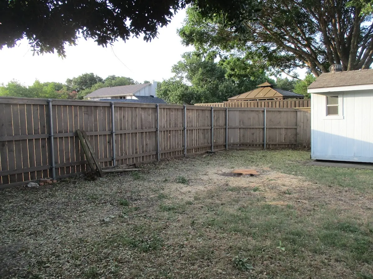 Cleared yard after professional tree removal in South Gibson