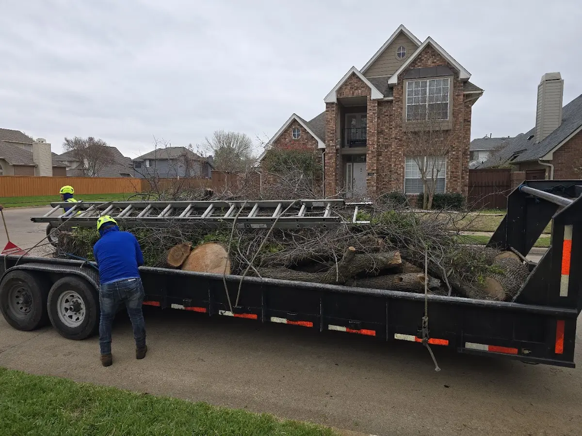 Expert Tree Fertilization with proper safety equipment in South Gibson